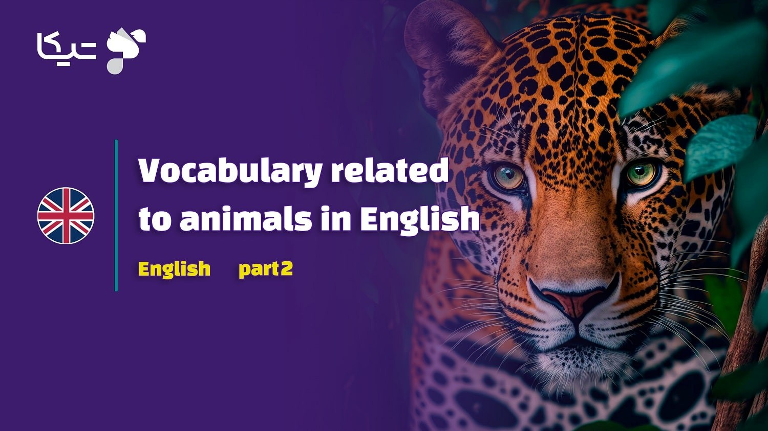 راهنمای جامع واژگان مرتبط با حیوانات به انگلیسی – قسمت دوم