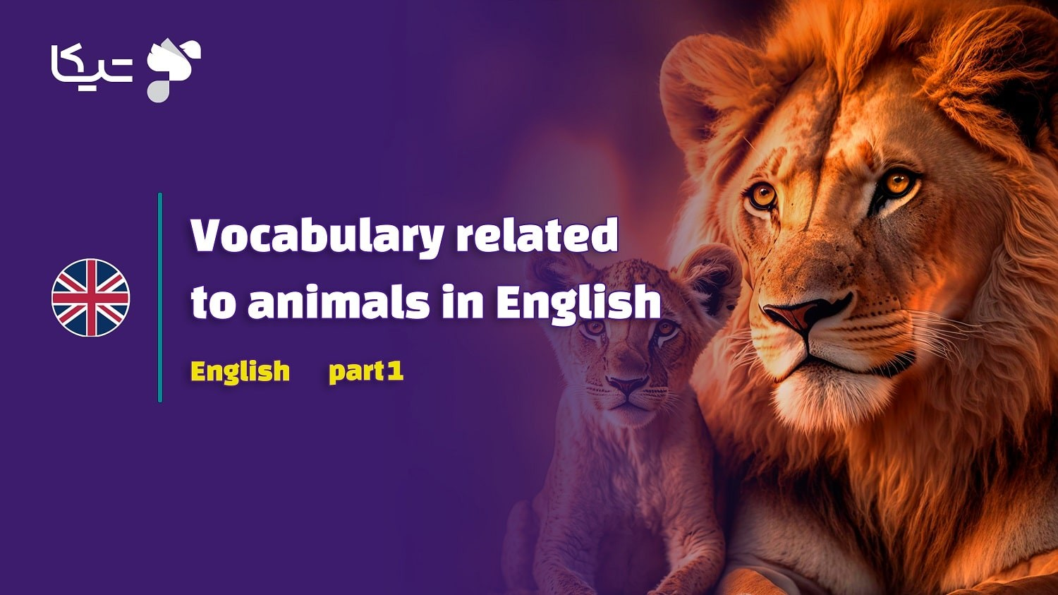 راهنمای جامع واژگان مرتبط با حیوانات به انگلیسی – قسمت اول