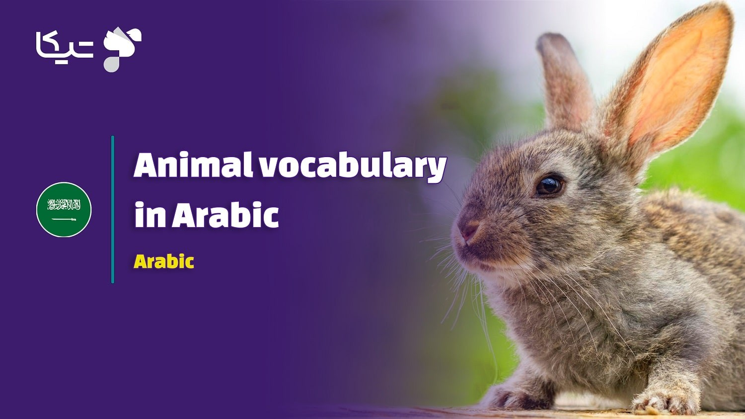 🐘 فرهنگ لغت جامع حیوانات به زبان عربی [معرفی + ۳۰ کلمه ضروری] به همراه تلفظ فارسی