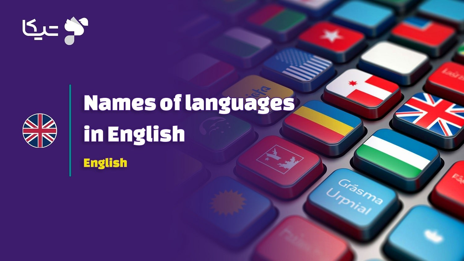 🌍 دایره‌المعارف نام ملیت‌ها و زبان‌ها به انگلیسی: [جدول کامل + تلفظ فارسی برای هر کشور]
