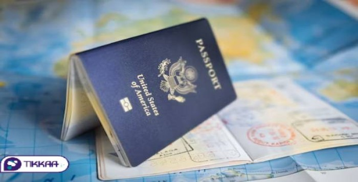 ویزای همراه