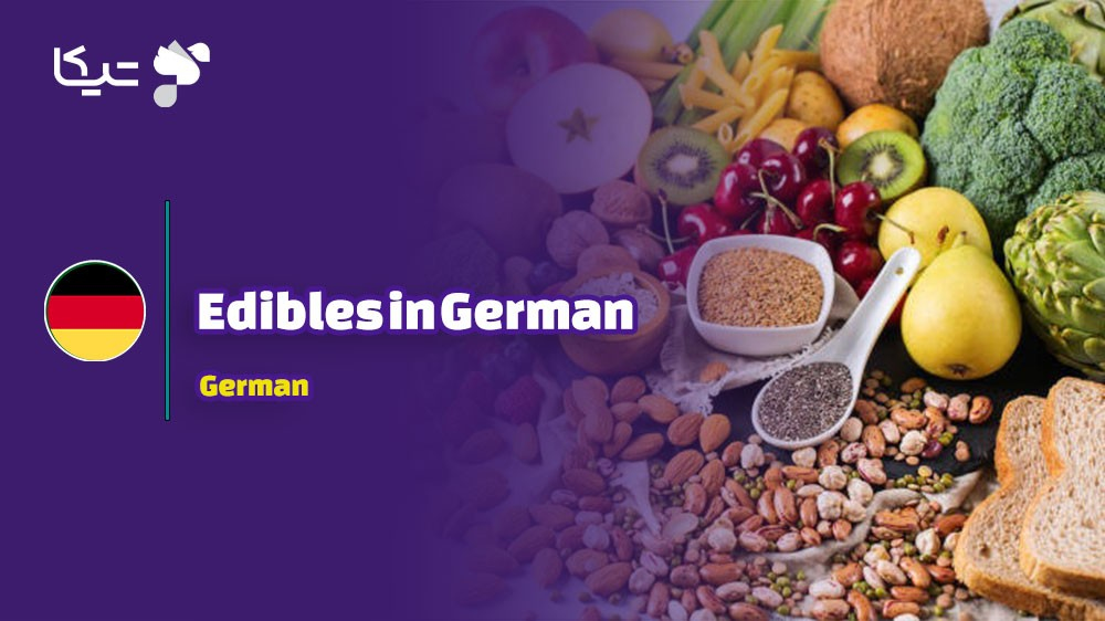 راهنمای جامع کلمات و اصطلاحات مربوط به خوراکی‌ها به آلمانی با تلفظ فارسی