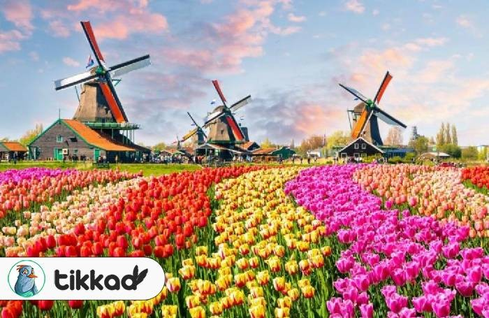 جملات هلندی پرکاربرد در سفر