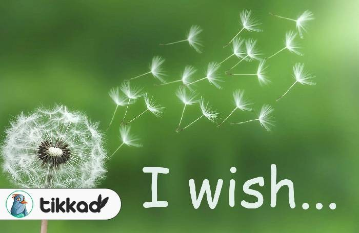 استفاده کاربردی از کلمه Wish