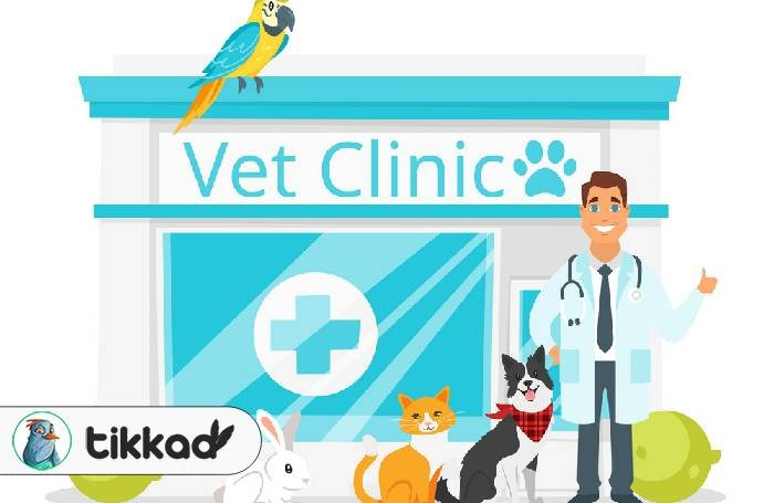 اصطلاحات دامپزشکی در انگلیسی