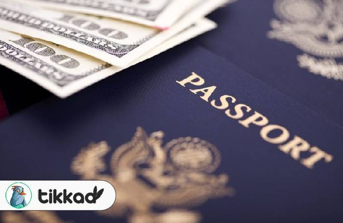 مهاجرت از طریق تمکن مالی