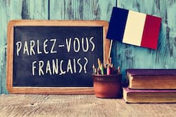 دانلود دیکشنری فرانسه به فارسی و برعکس