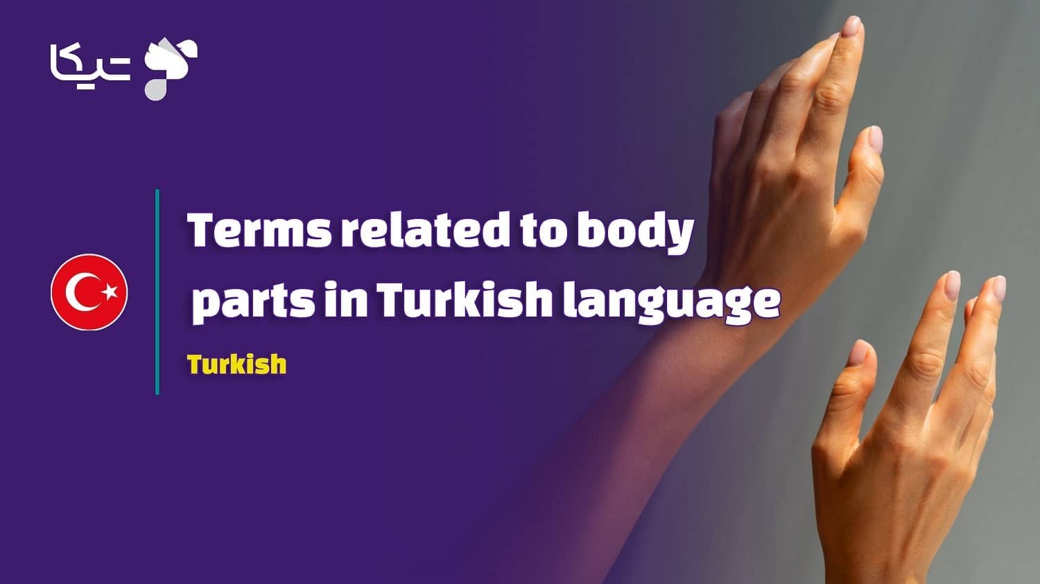 50 اصطلاح پرکاربرد مرتبط با اعضای بدن در زبان ترکی استانبولی به همراه تلفظ فارسی