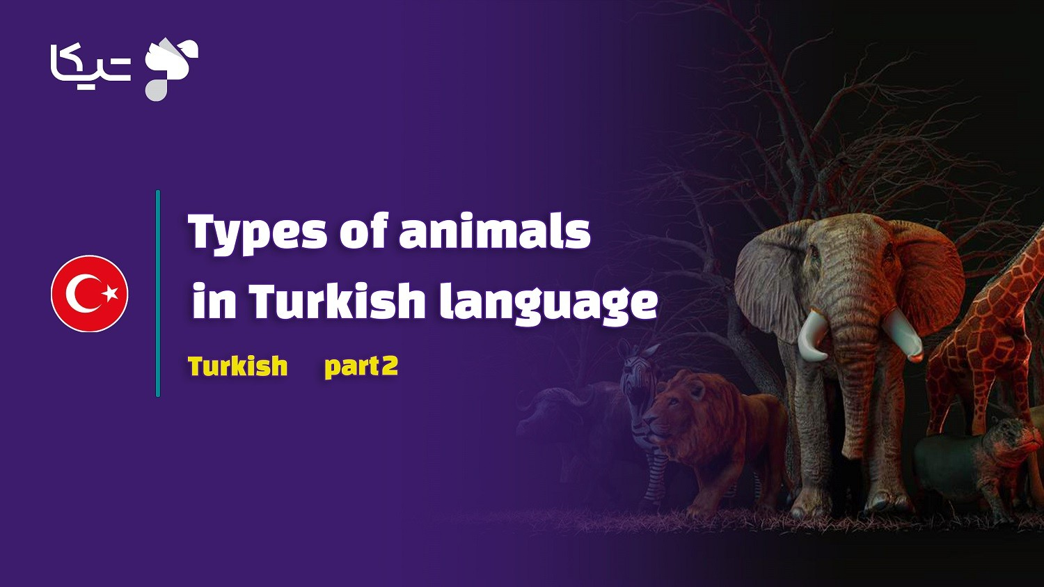 انواع جانوران و حیوانات به زبان ترکی استانبولی – قسمت دوم