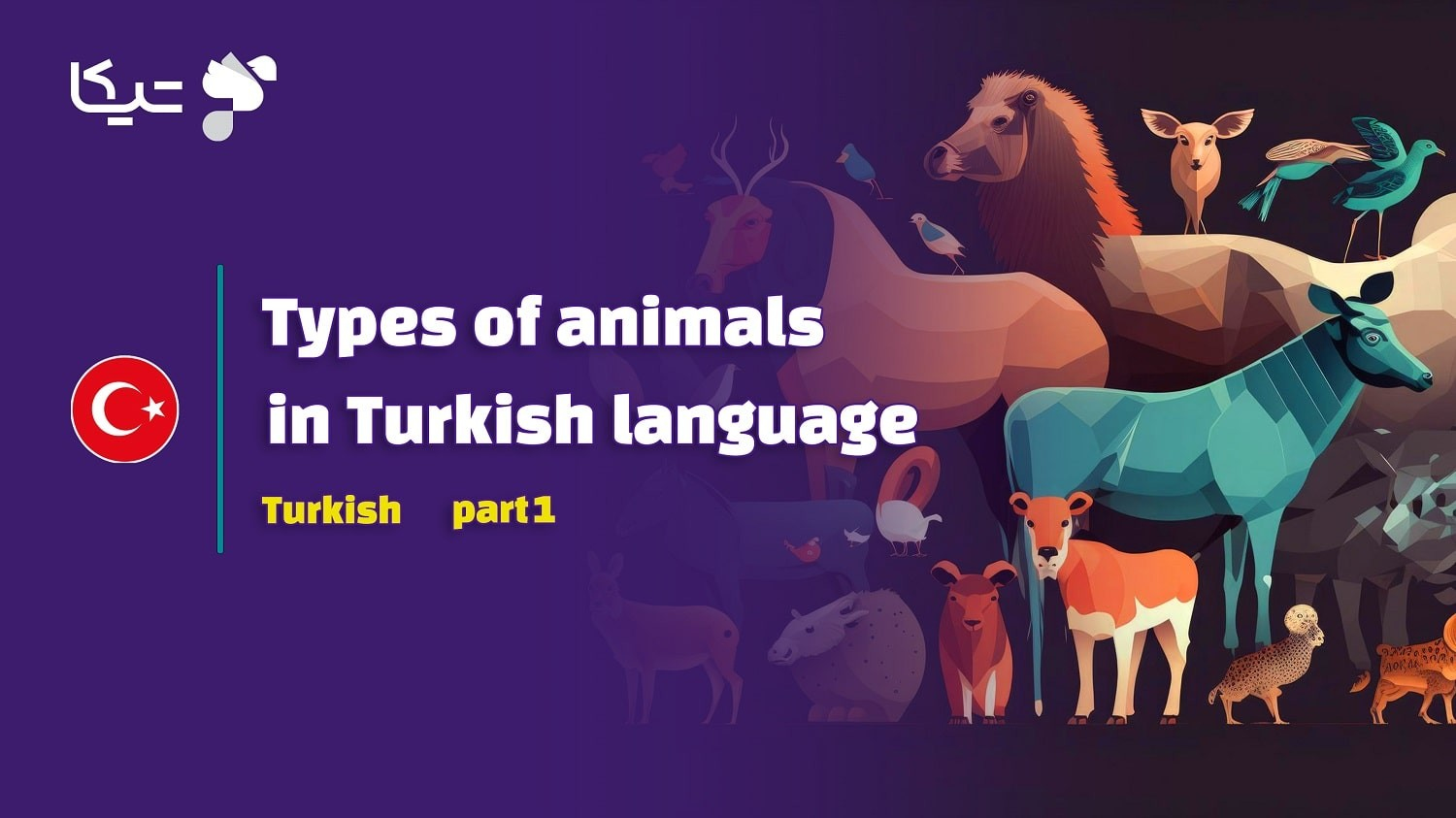 انواع جانوران و حیوانات به زبان ترکی استانبولی – قسمت اول