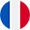 مدرس آنلاین زبان فرانسه در پلتفرم یادگیری مجازی تیکا